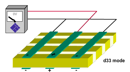 P1-Elongator-AN
